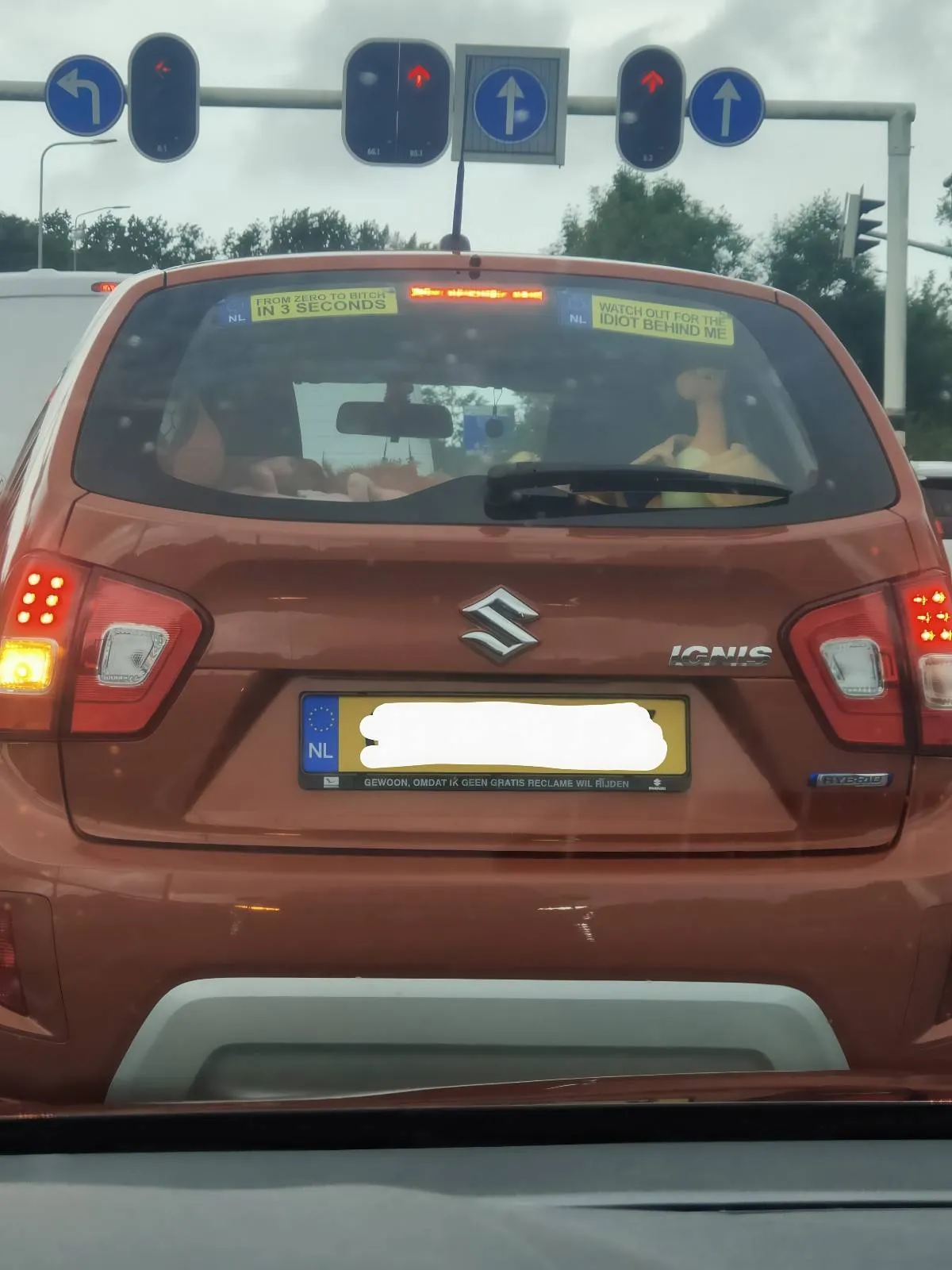 Gewoon een verzameling hilarische foto's #2078