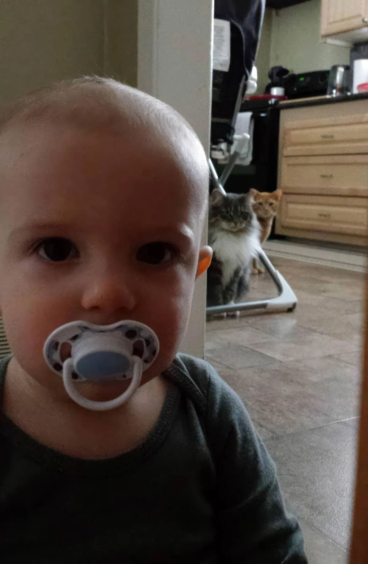 Gewoon een verzameling hilarische foto's #2078