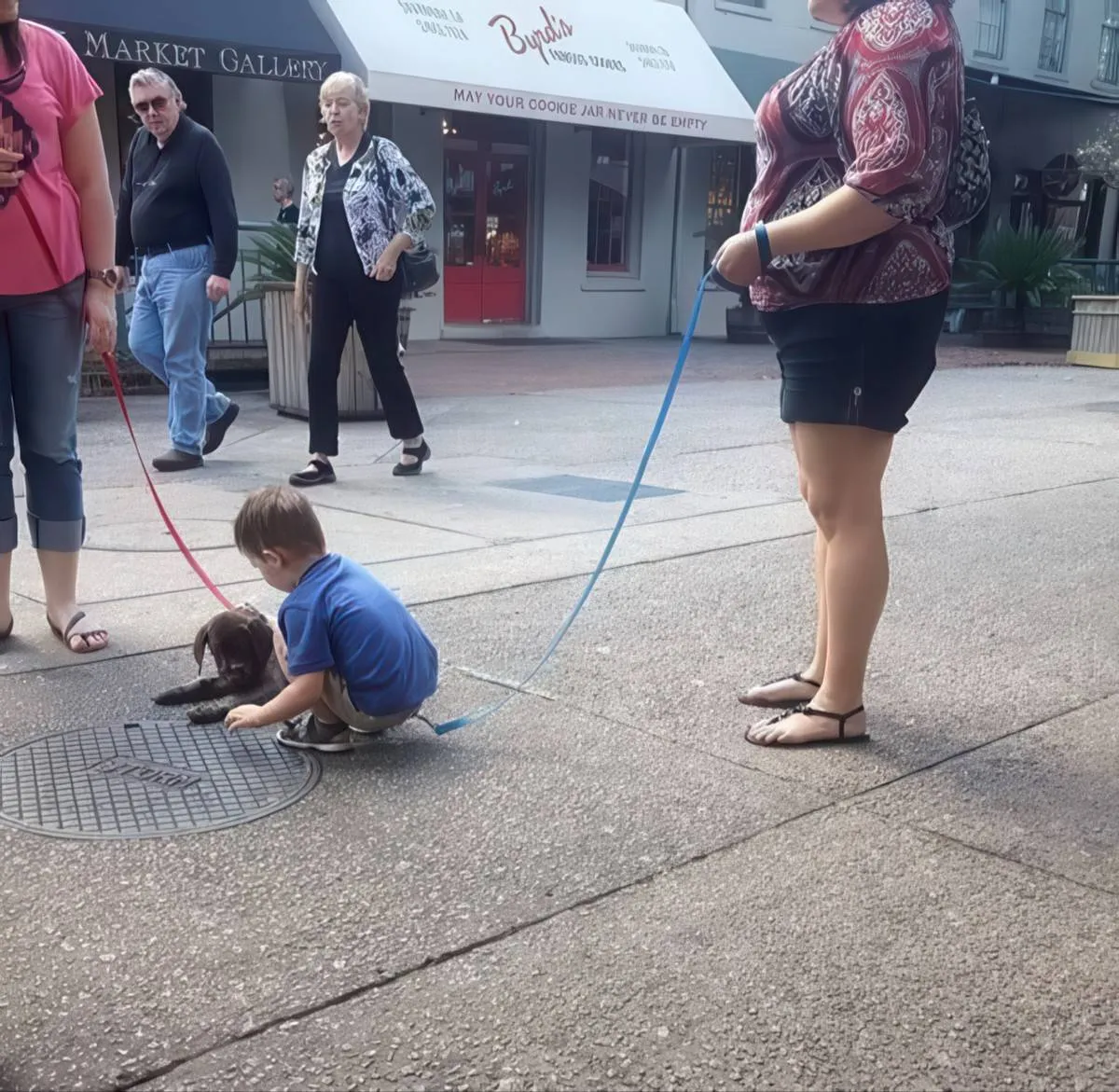 Gewoon een verzameling hilarische foto's #2079