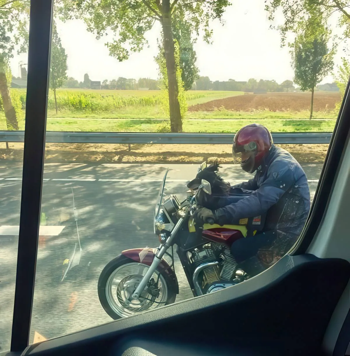 Gewoon een verzameling hilarische foto's #2079