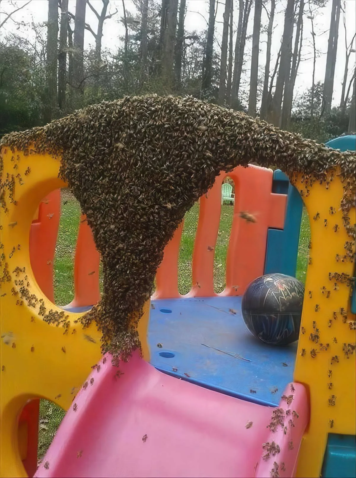 Gewoon een verzameling hilarische foto's #2079