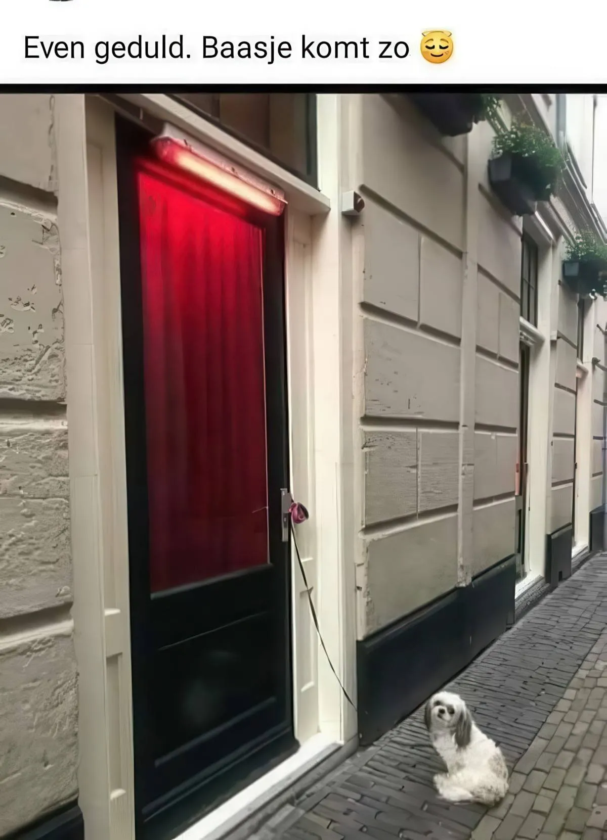 Gewoon een verzameling hilarische foto's #2079