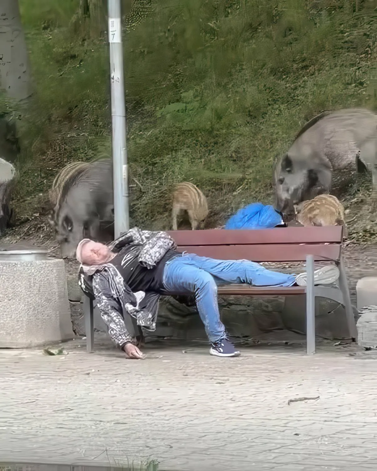Gewoon een verzameling hilarische foto's #2079