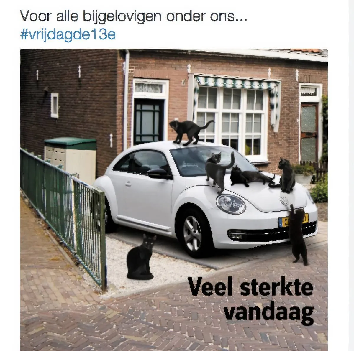 Gewoon een verzameling hilarische foto's #2080