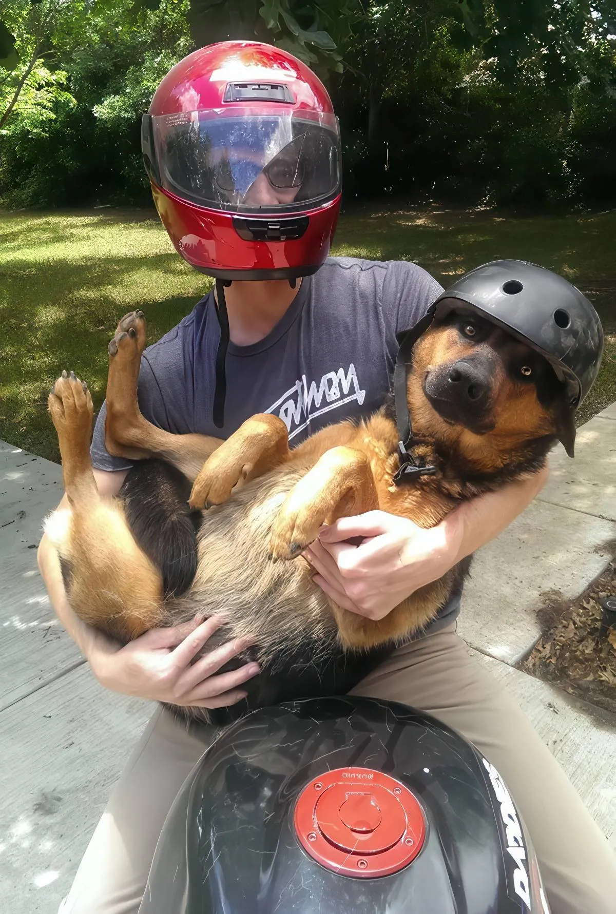 Gewoon een verzameling hilarische foto's #2081