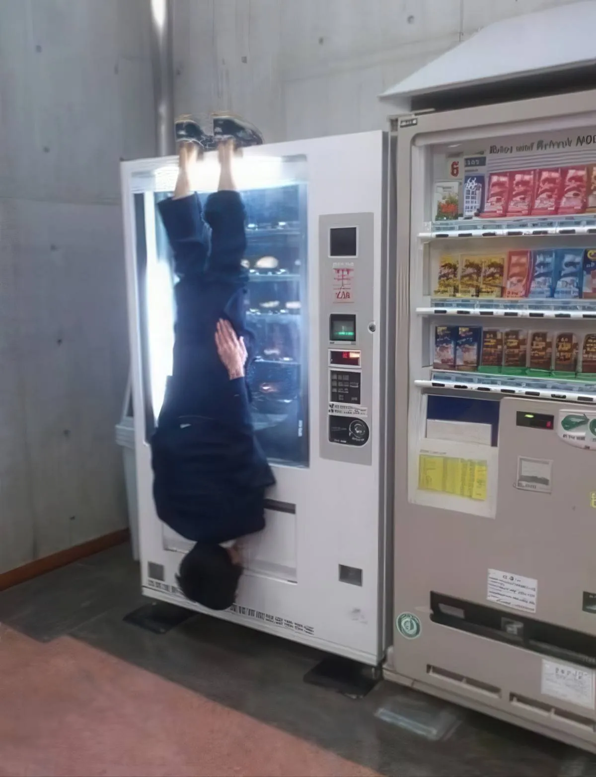 Gewoon een verzameling hilarische foto's #2081