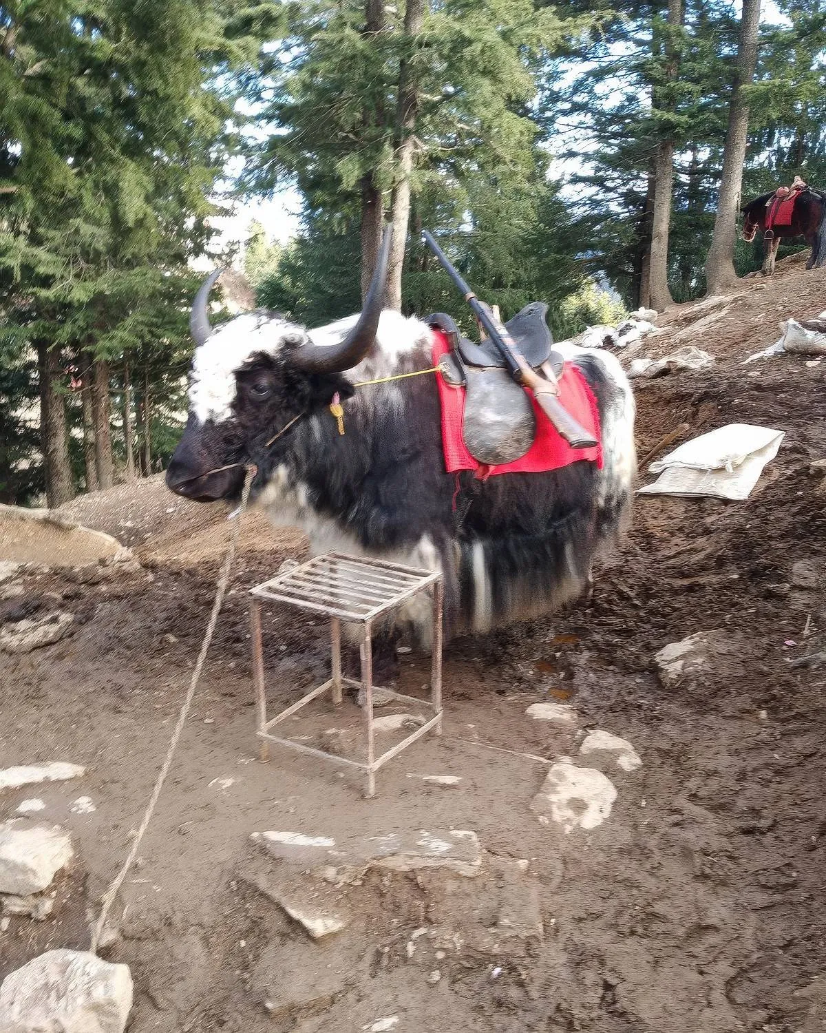 Gewoon een verzameling hilarische foto's #2082