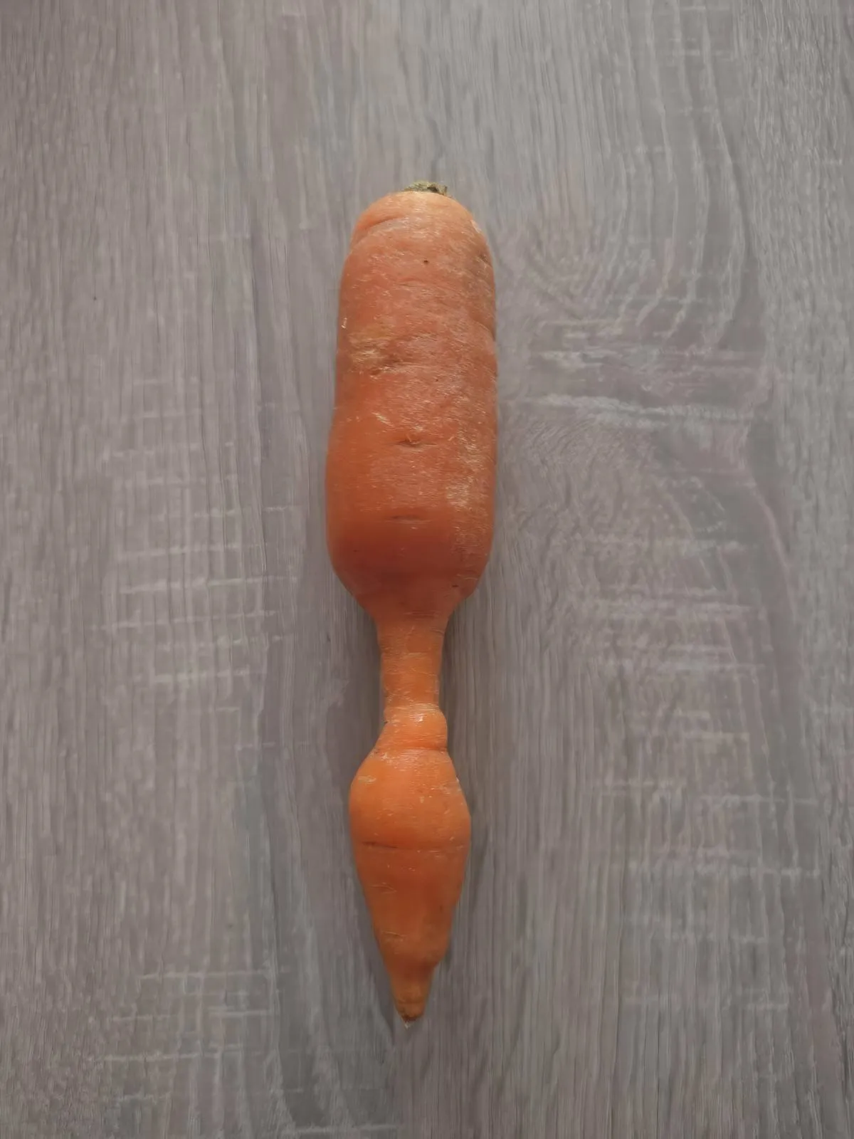 Gewoon een verzameling hilarische foto's #2082