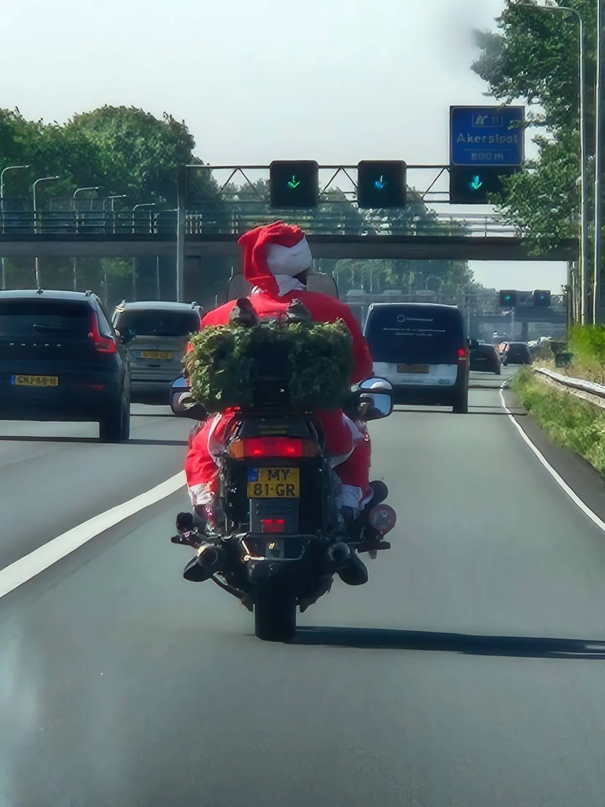 Gewoon een verzameling hilarische foto's #2082