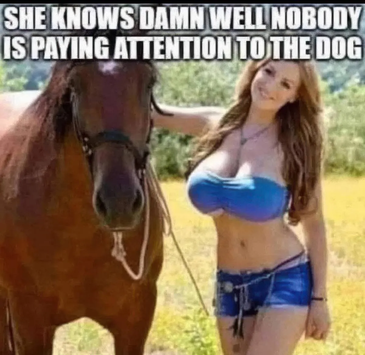 Gewoon een verzameling hilarische foto's #2084