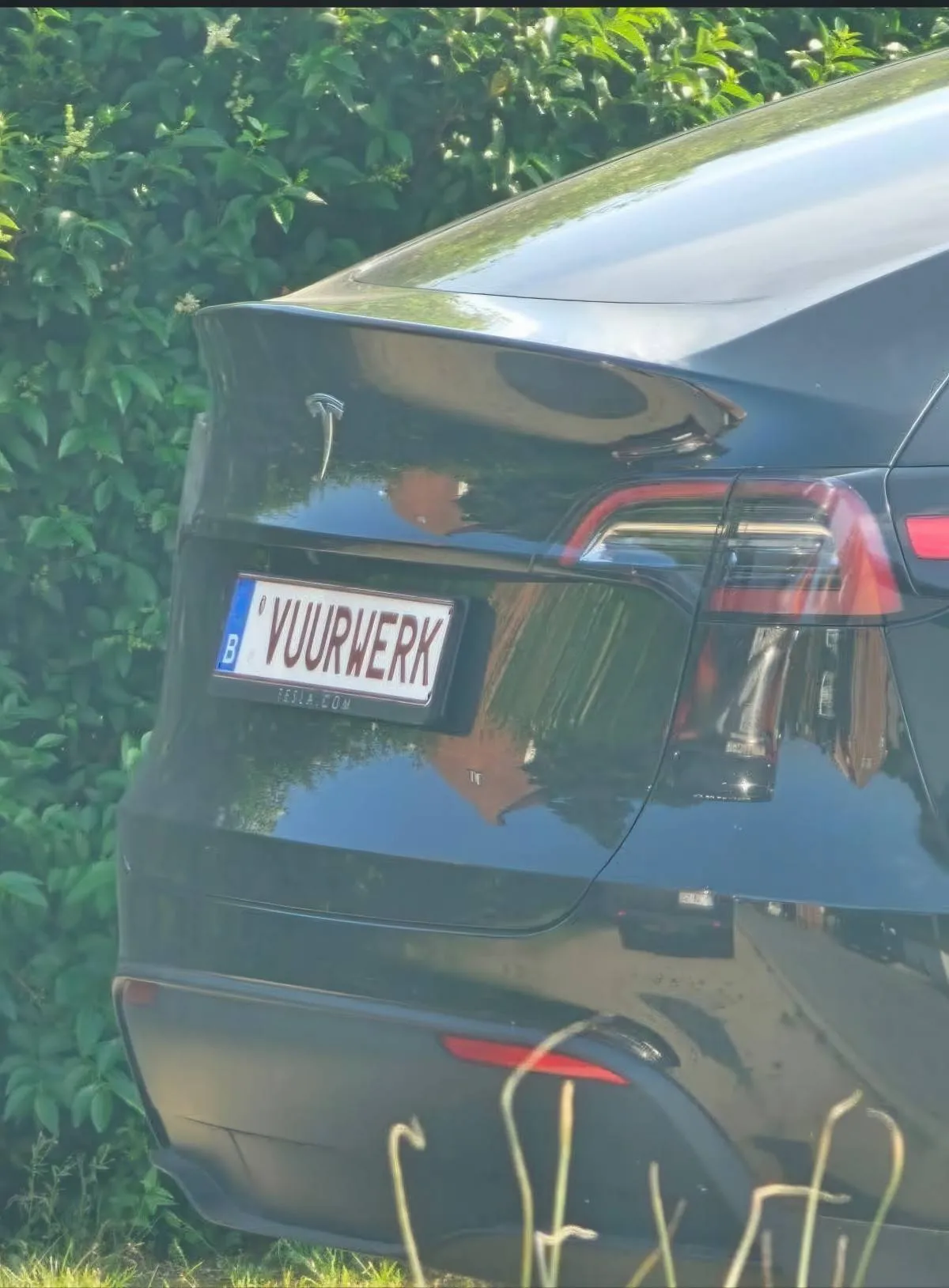 Gewoon een verzameling hilarische foto's #2084