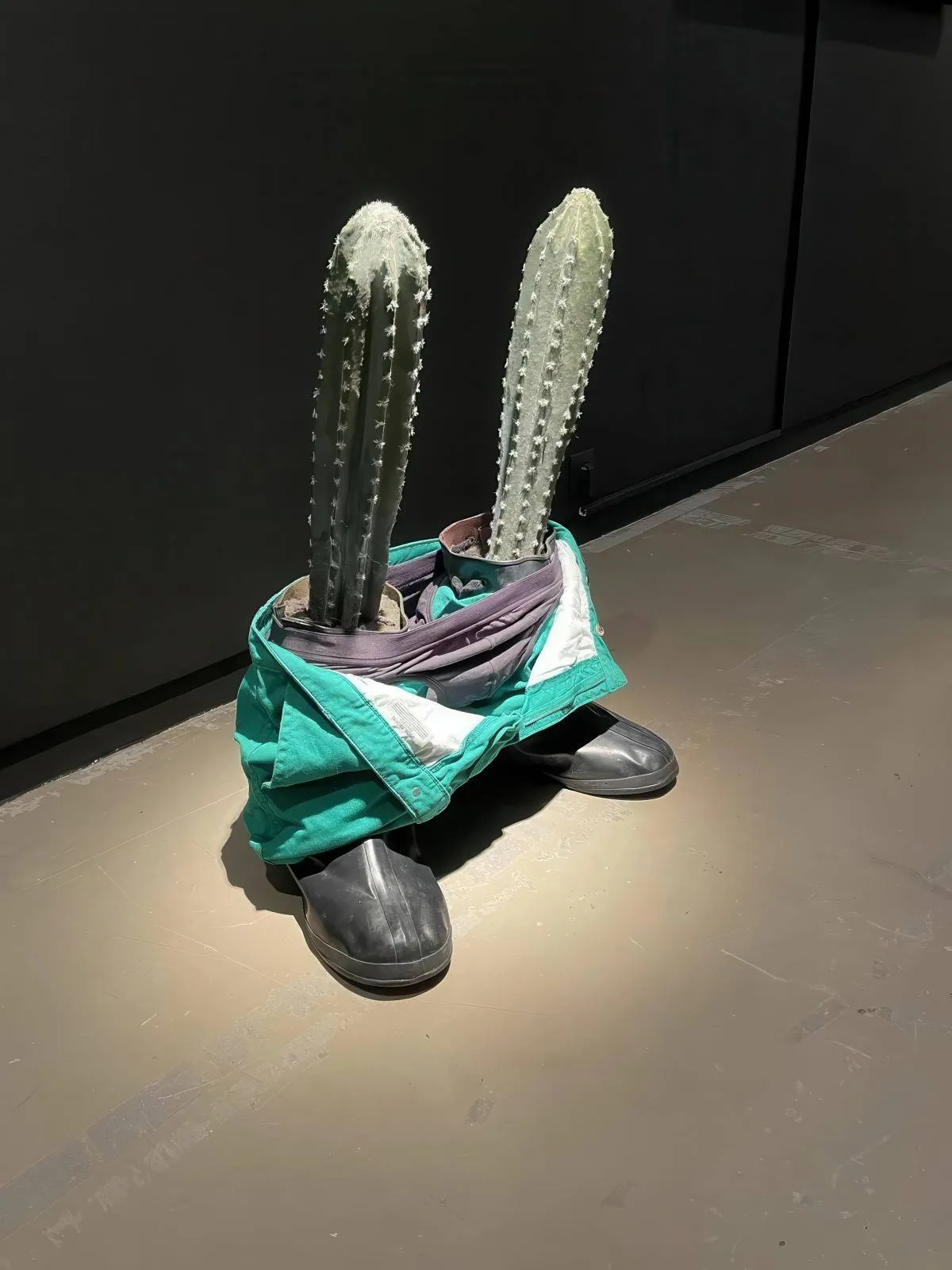Gewoon een verzameling hilarische foto's #2085