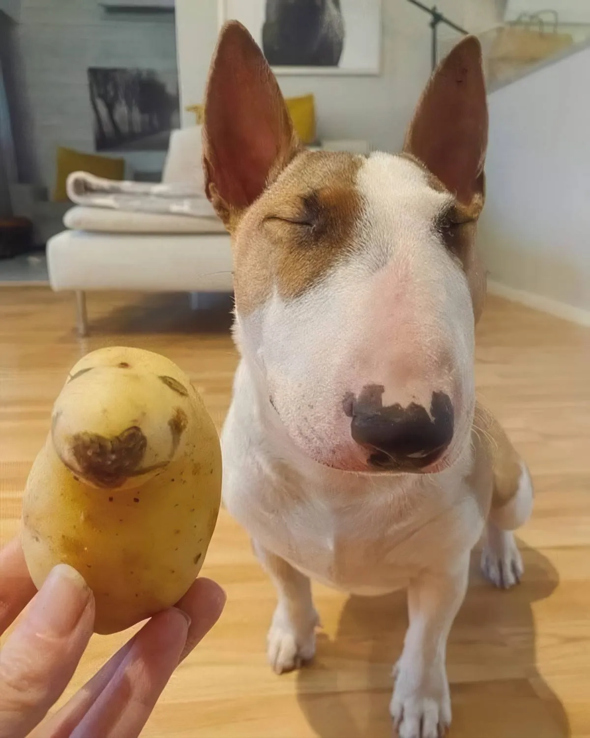 Gewoon een verzameling hilarische foto's #2085