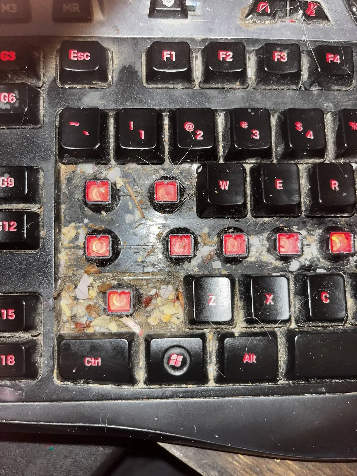Gewoon een verzameling hilarische foto's #2085