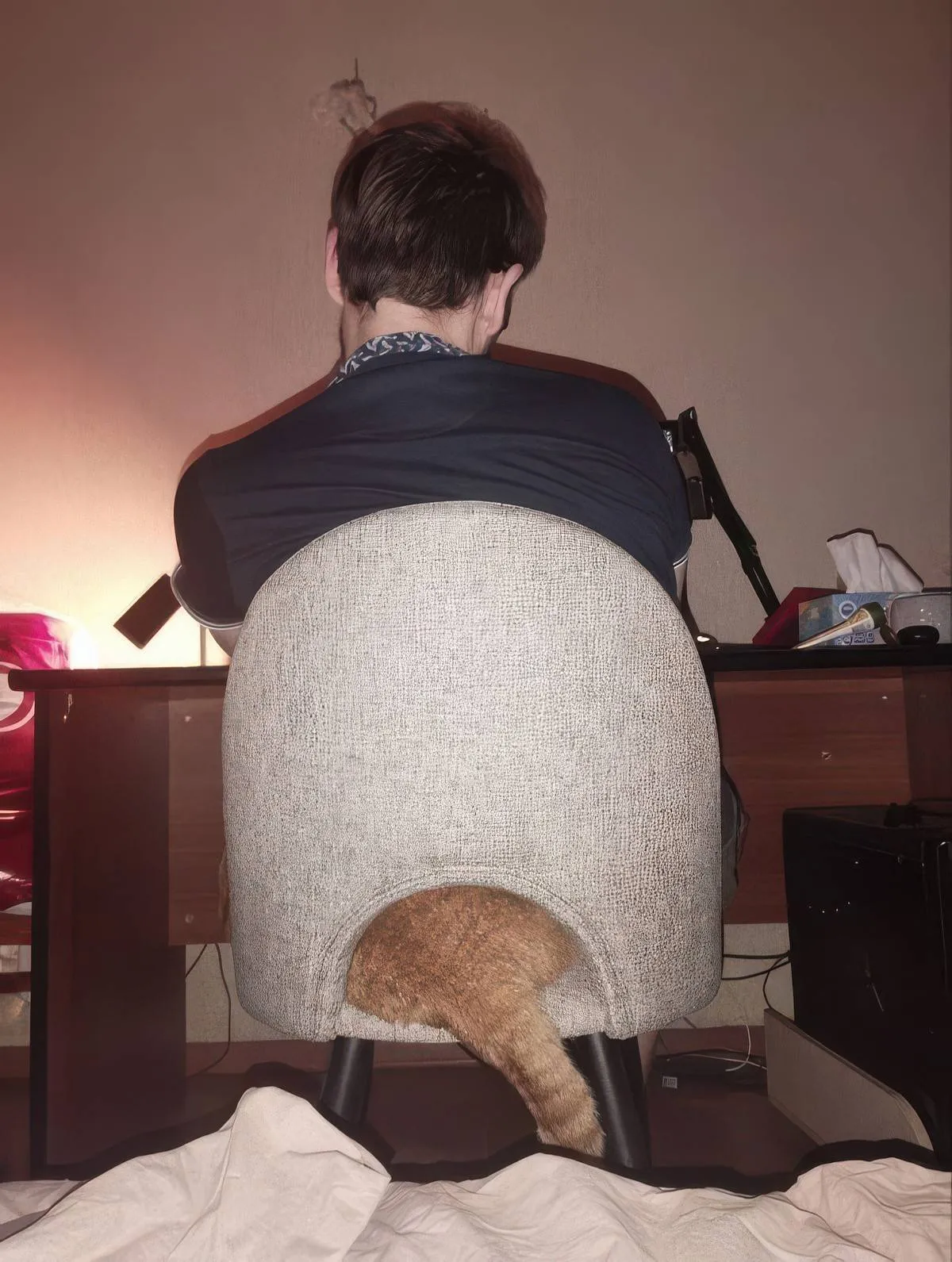 Gewoon een verzameling hilarische foto's #2085