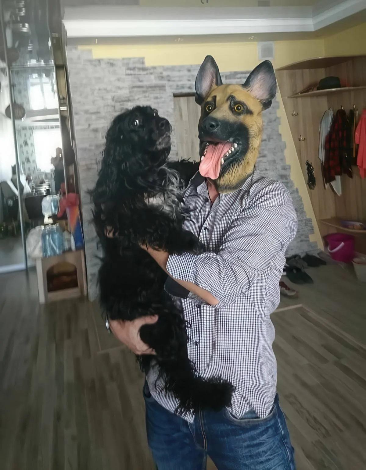 Gewoon een verzameling hilarische foto's #2086