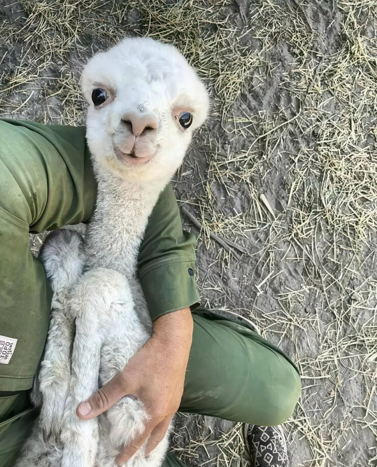 Gewoon een verzameling hilarische foto's #2087