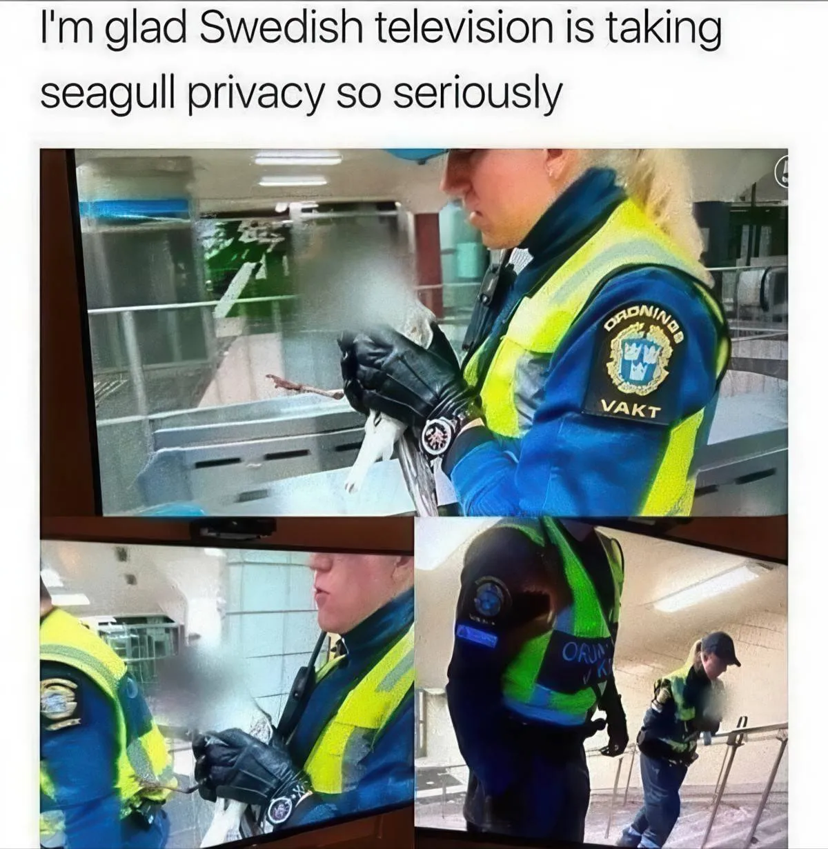 Gewoon een verzameling hilarische foto's #2087