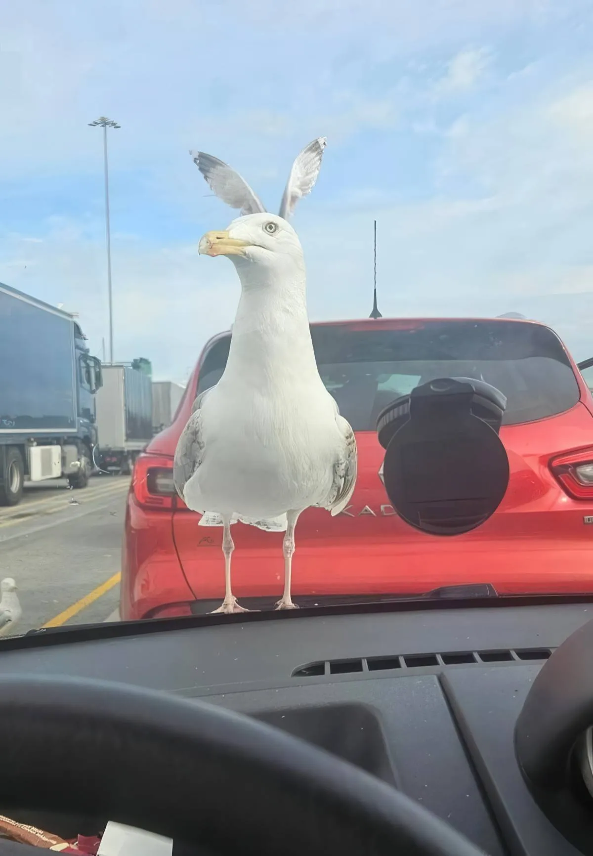 Gewoon een verzameling hilarische foto's #2087