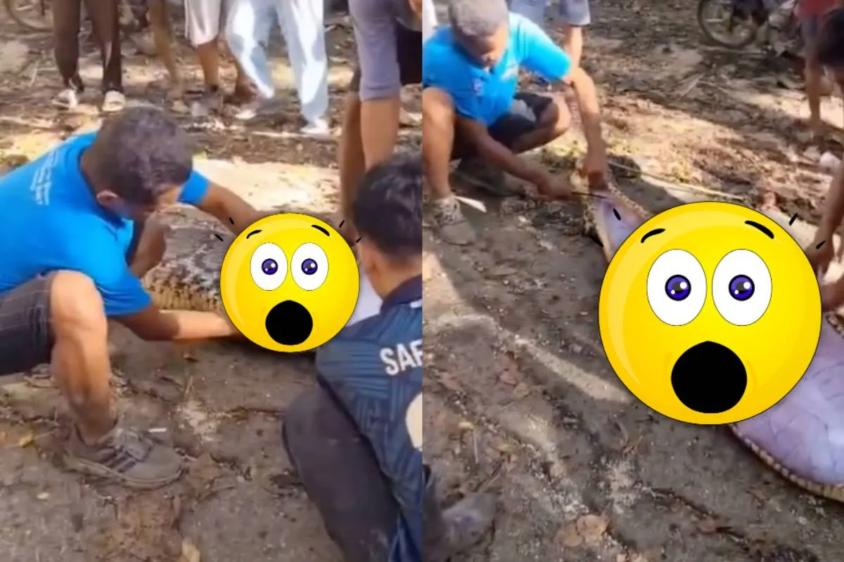 Tik op klik op de afbeelding voor de 18 plus video