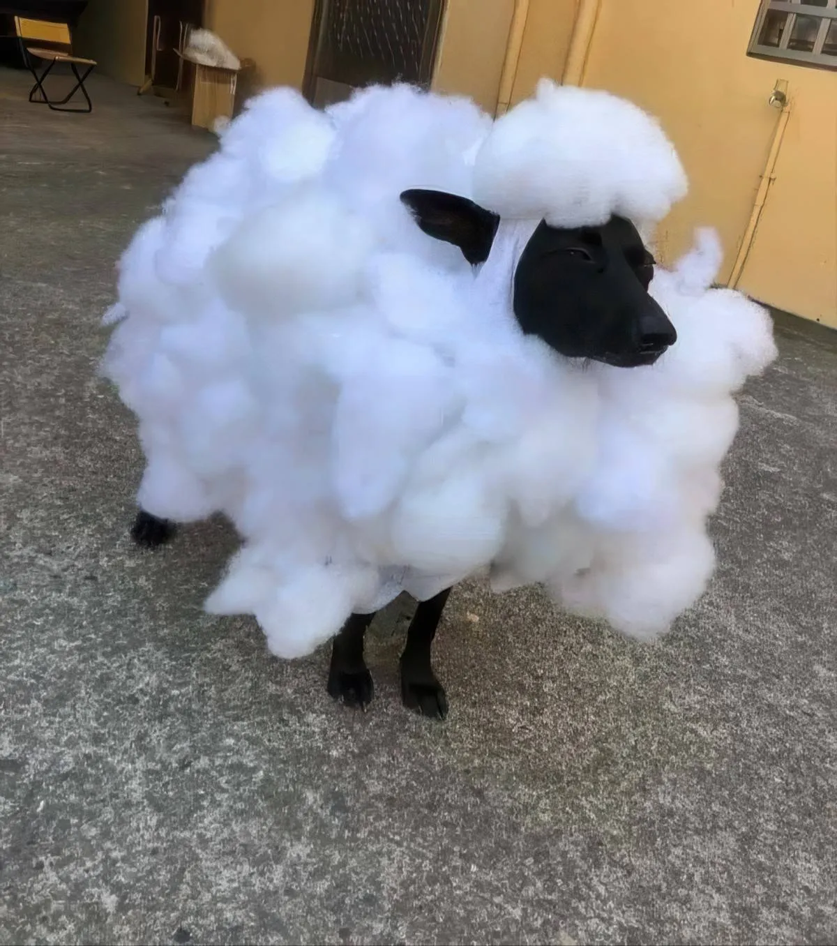 Gewoon een verzameling hilarische foto's #2088