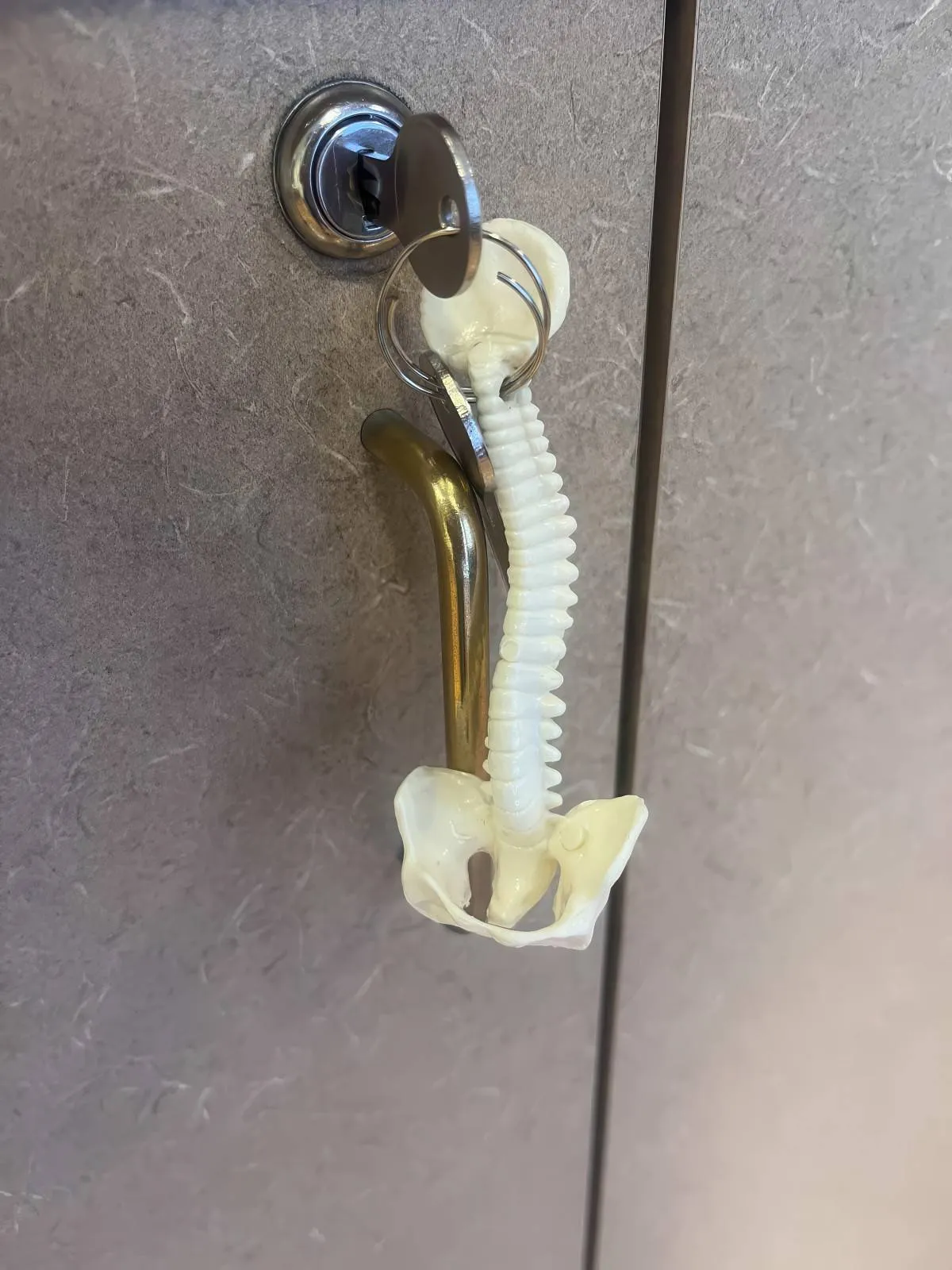 Gewoon een verzameling hilarische foto's #2088
