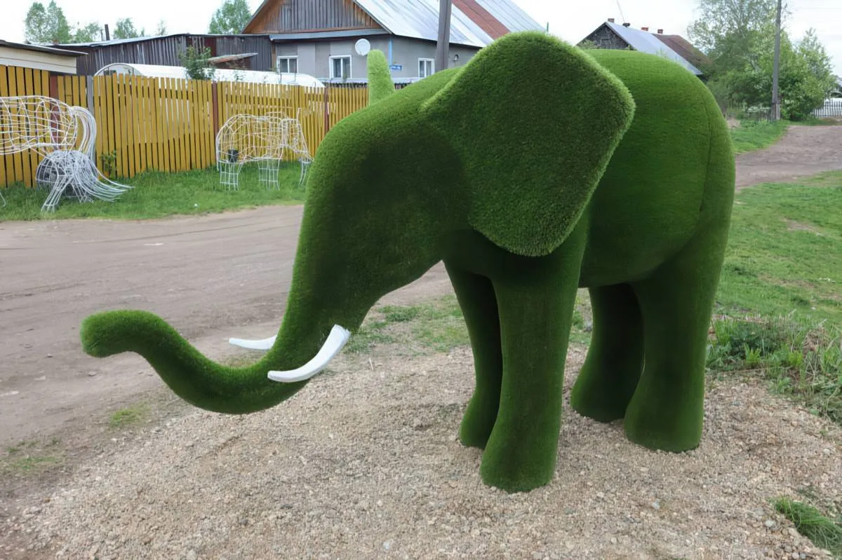 Gewoon een verzameling hilarische foto's #2089