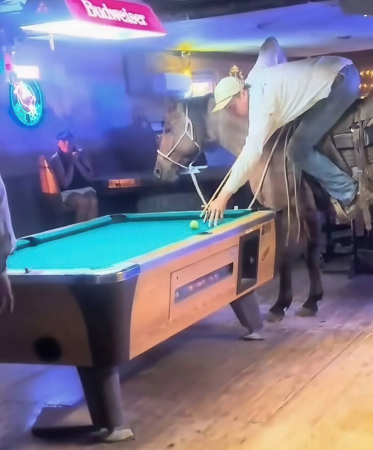Gewoon een verzameling hilarische foto's #2089