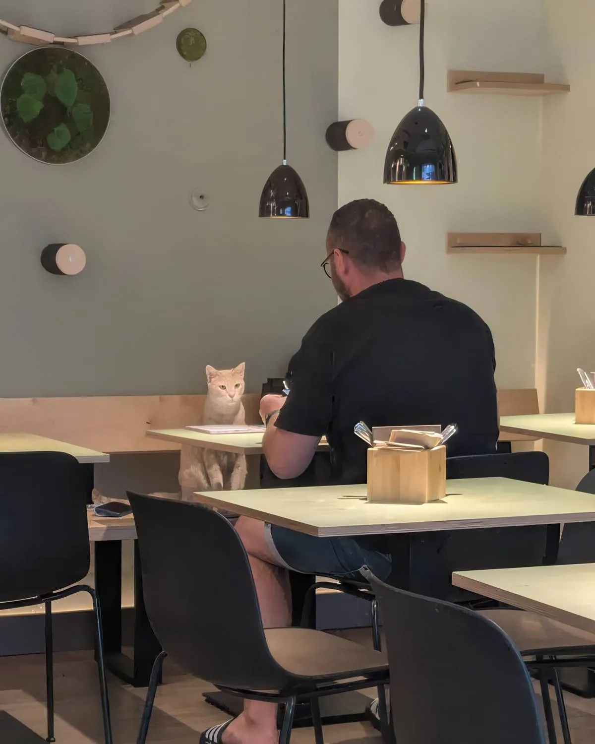 Gewoon een verzameling hilarische foto's #2089
