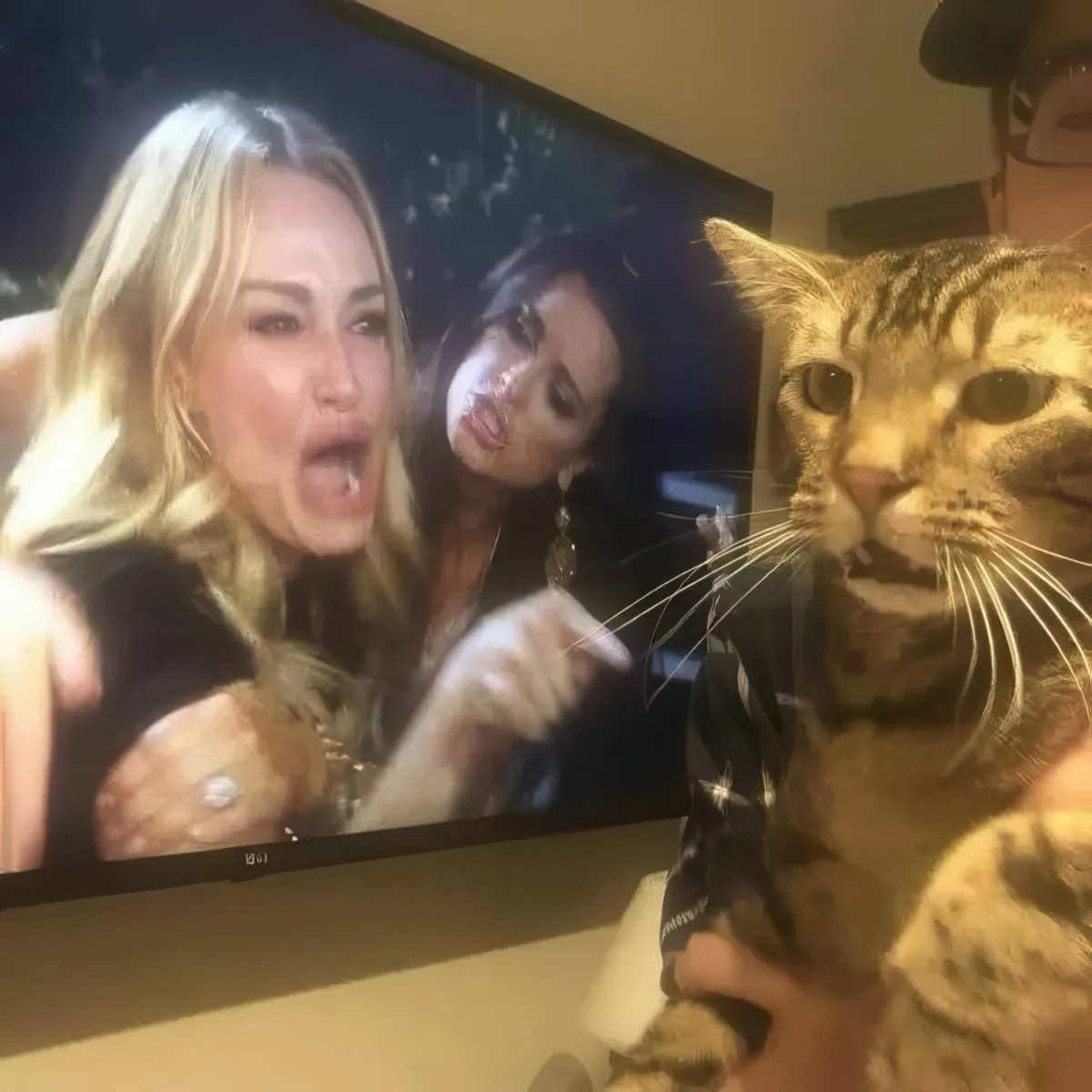 Gewoon een verzameling hilarische foto's #2090