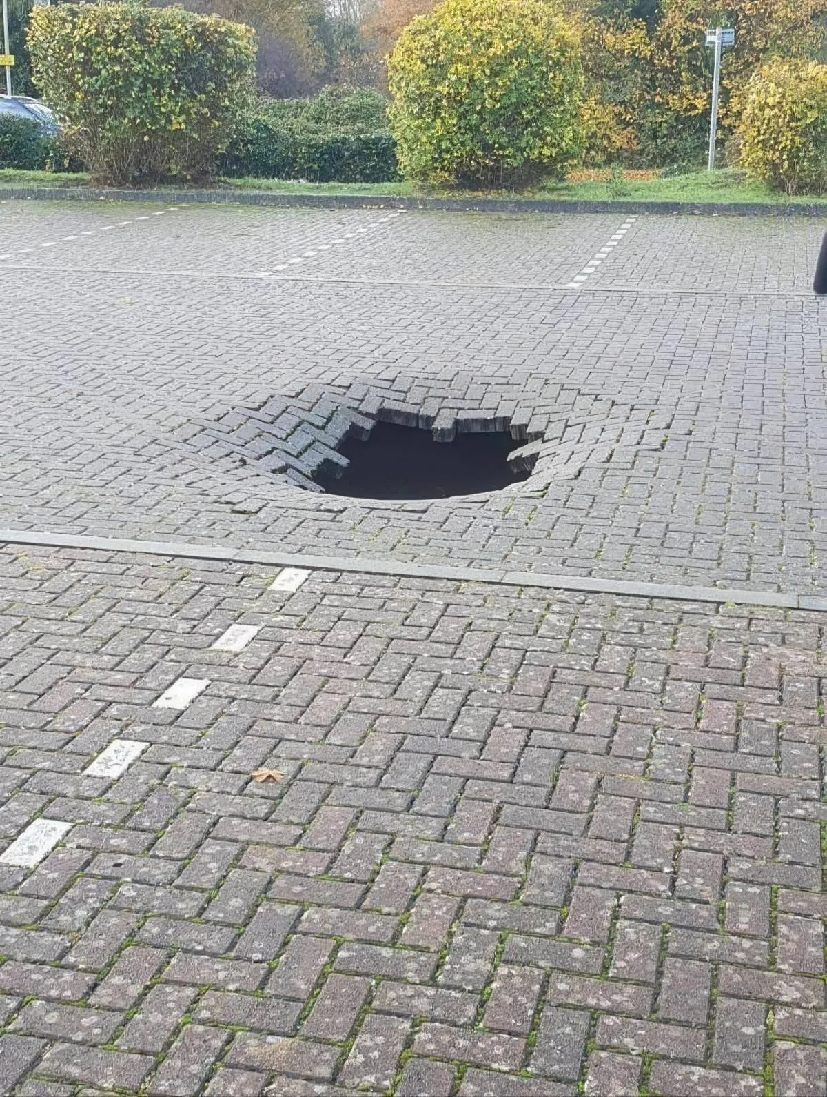 Gewoon een verzameling hilarische foto's #2090