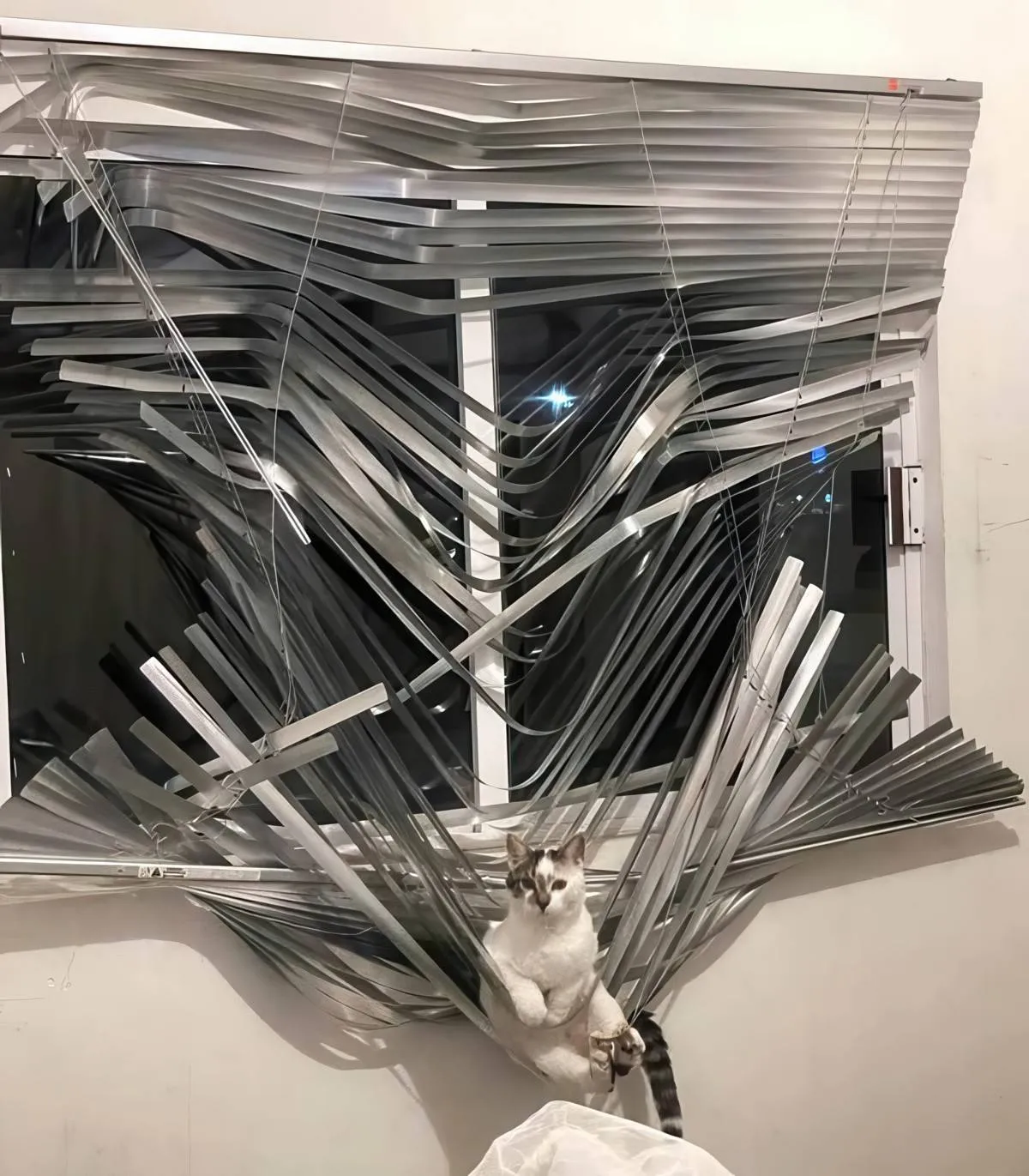 Gewoon een verzameling hilarische foto's #2090