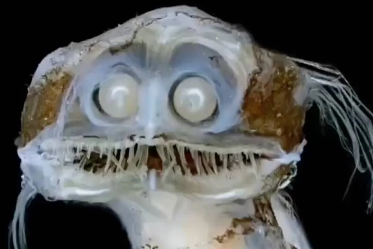 Gewoon een verzameling hilarische foto's #2102