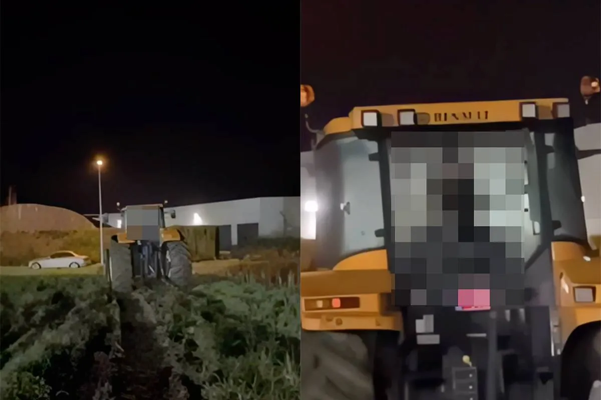 thumb_vk_Boer_hoeft_even_niet_te_trekken_en_maakt_nummertje_in_trekker