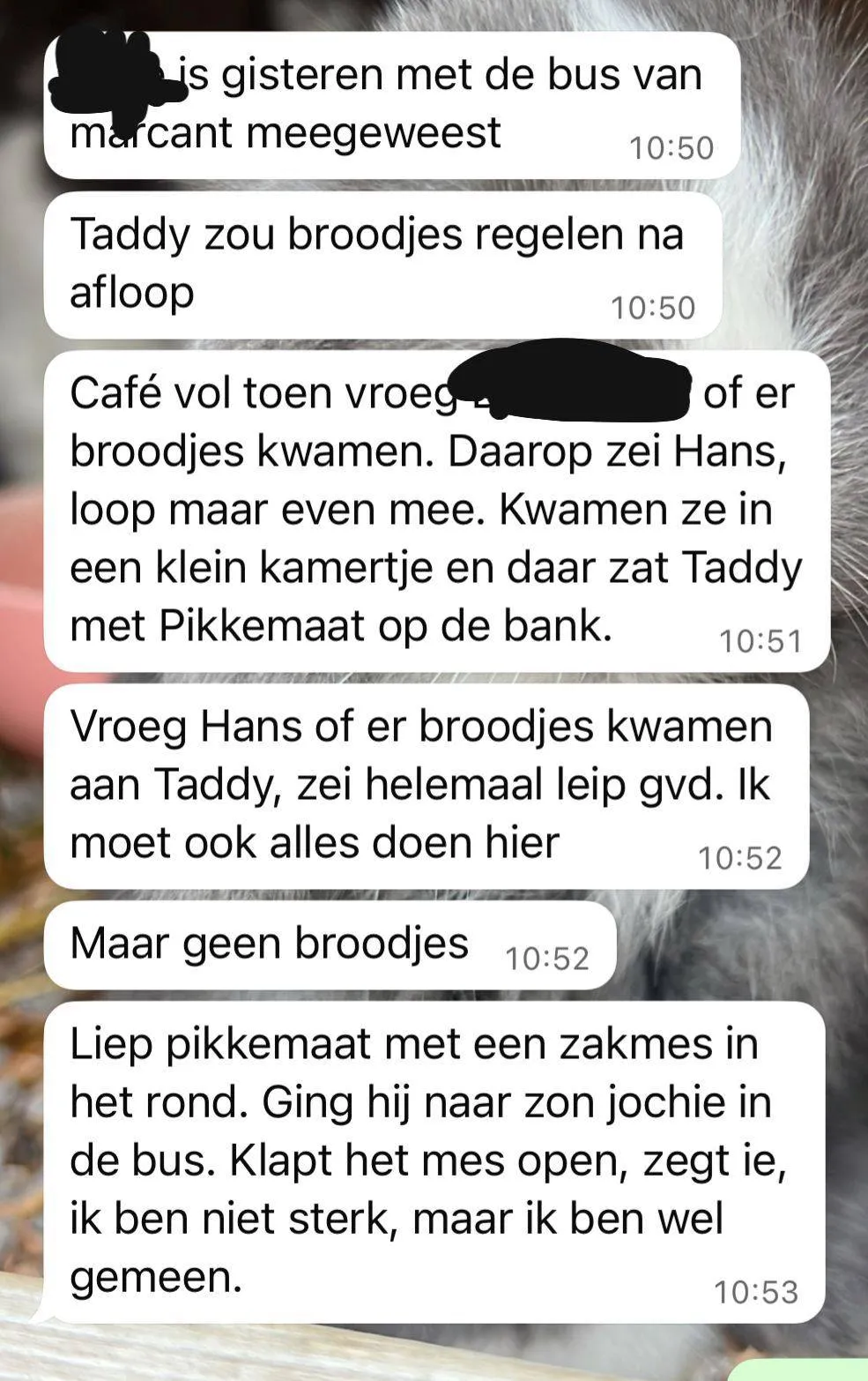 picture_vk_marcant_tubbergen_03