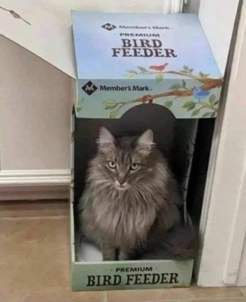 pix_91