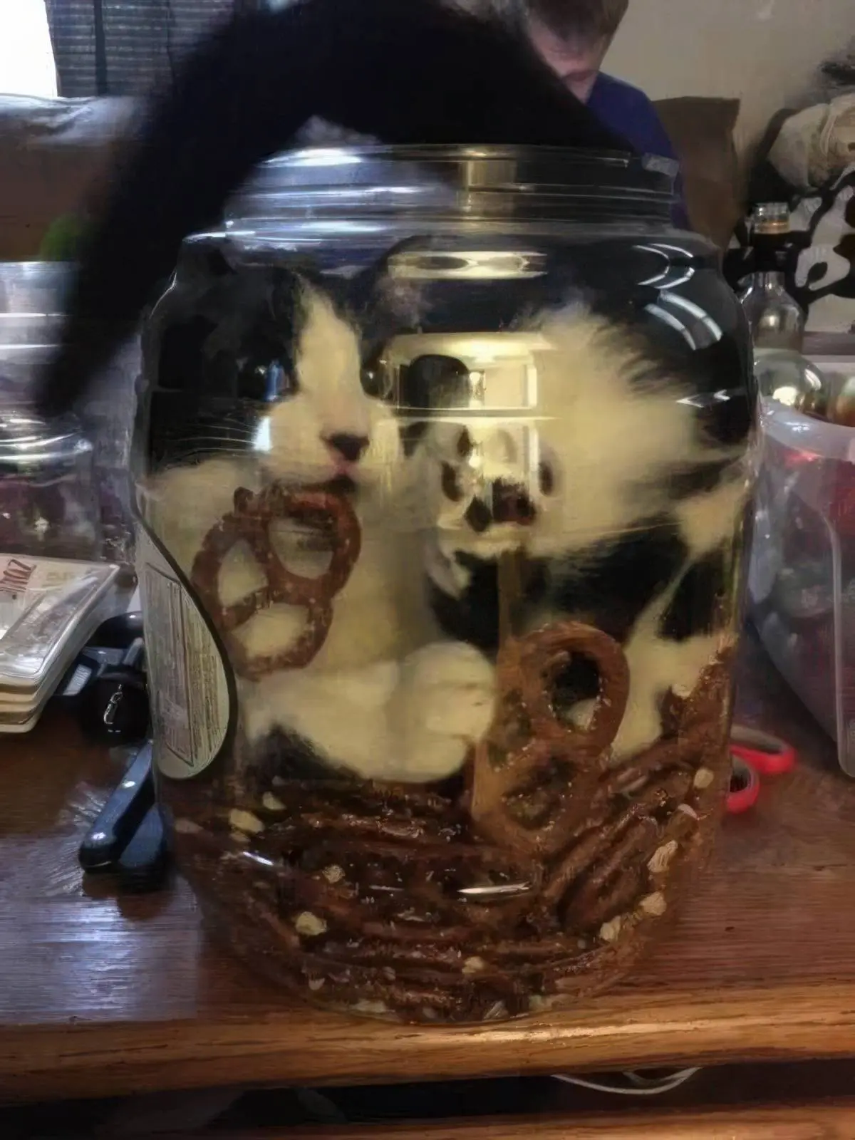 pix_dump_2247_033