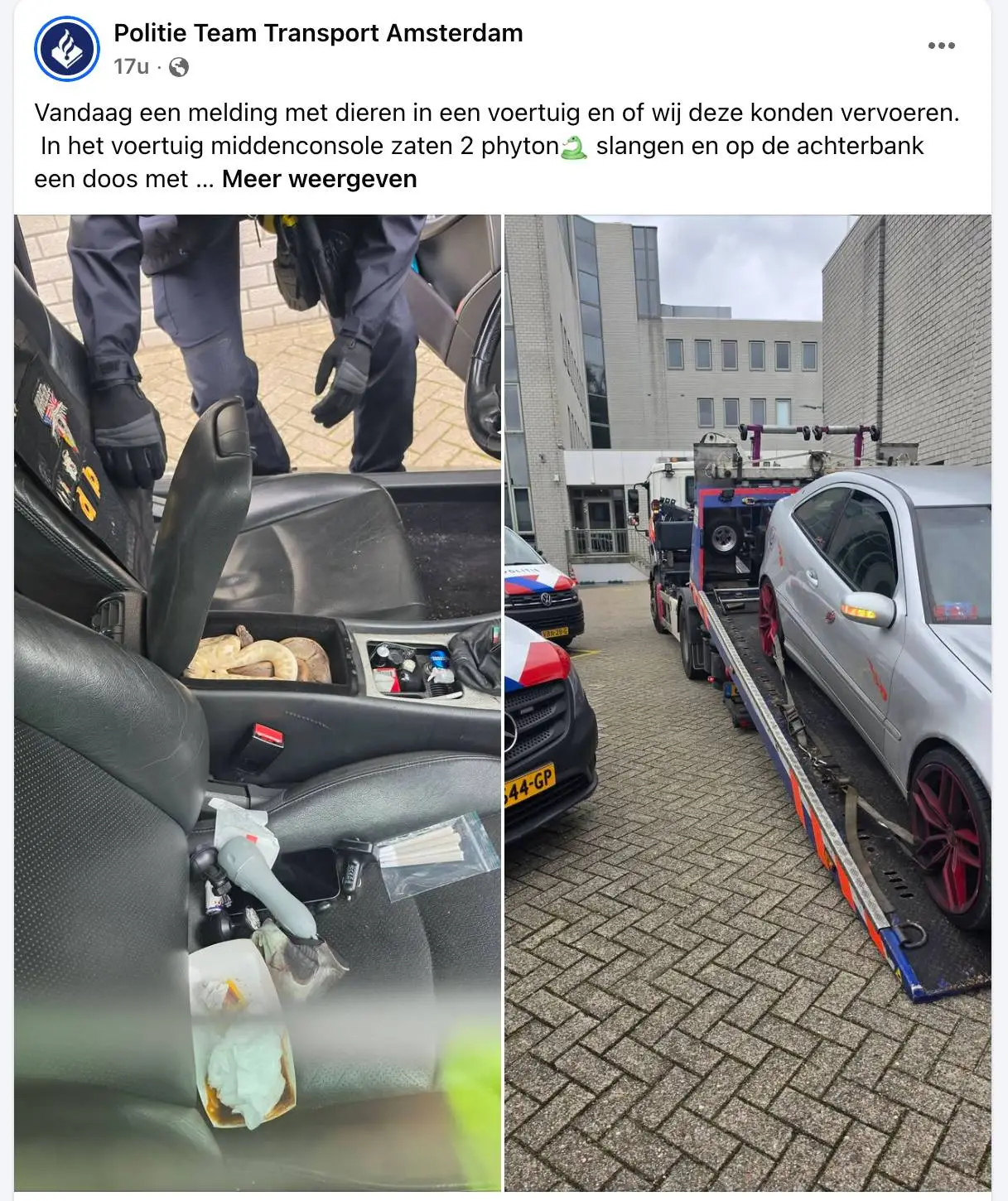picture_vk_slang_in_middenstuk_auto