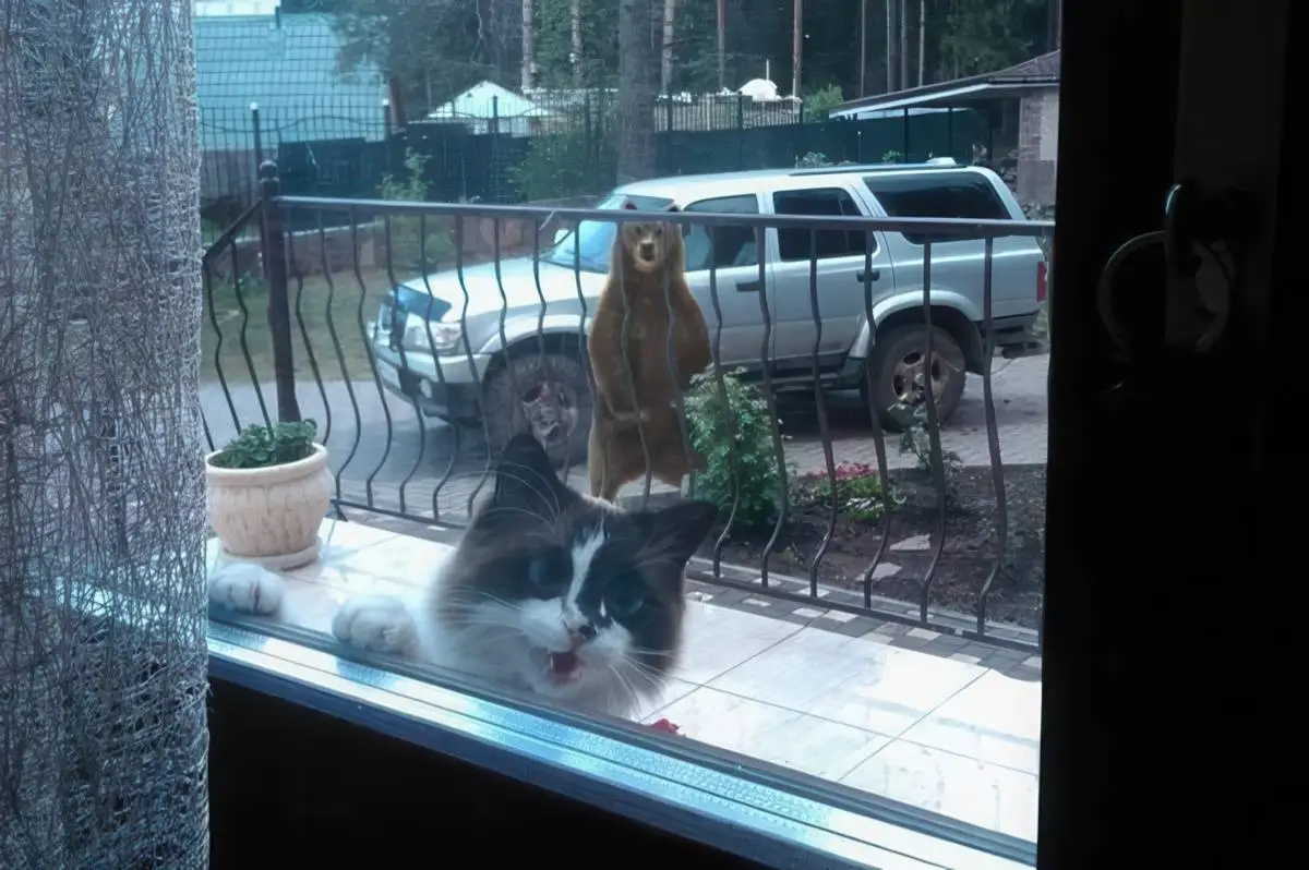 pix_dump_2284_079