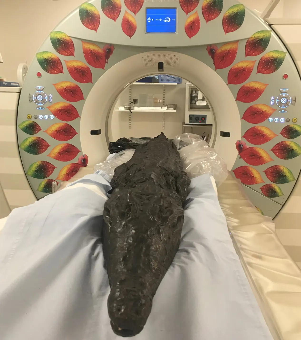 Scherm­afbeelding 2025-12-12 om 06.34.29