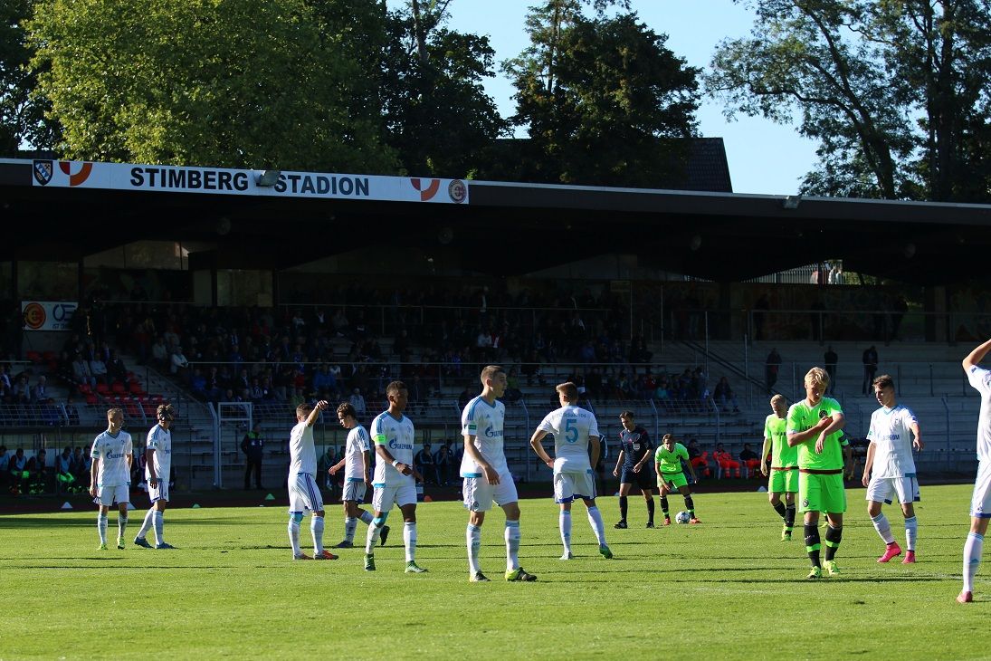 Ajax' Kweekvijver: 'Duitse schimmel!'