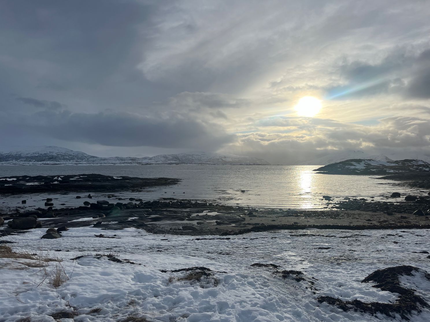 Reportage: Koukleumende Ajacieden en het wonder van Bodø