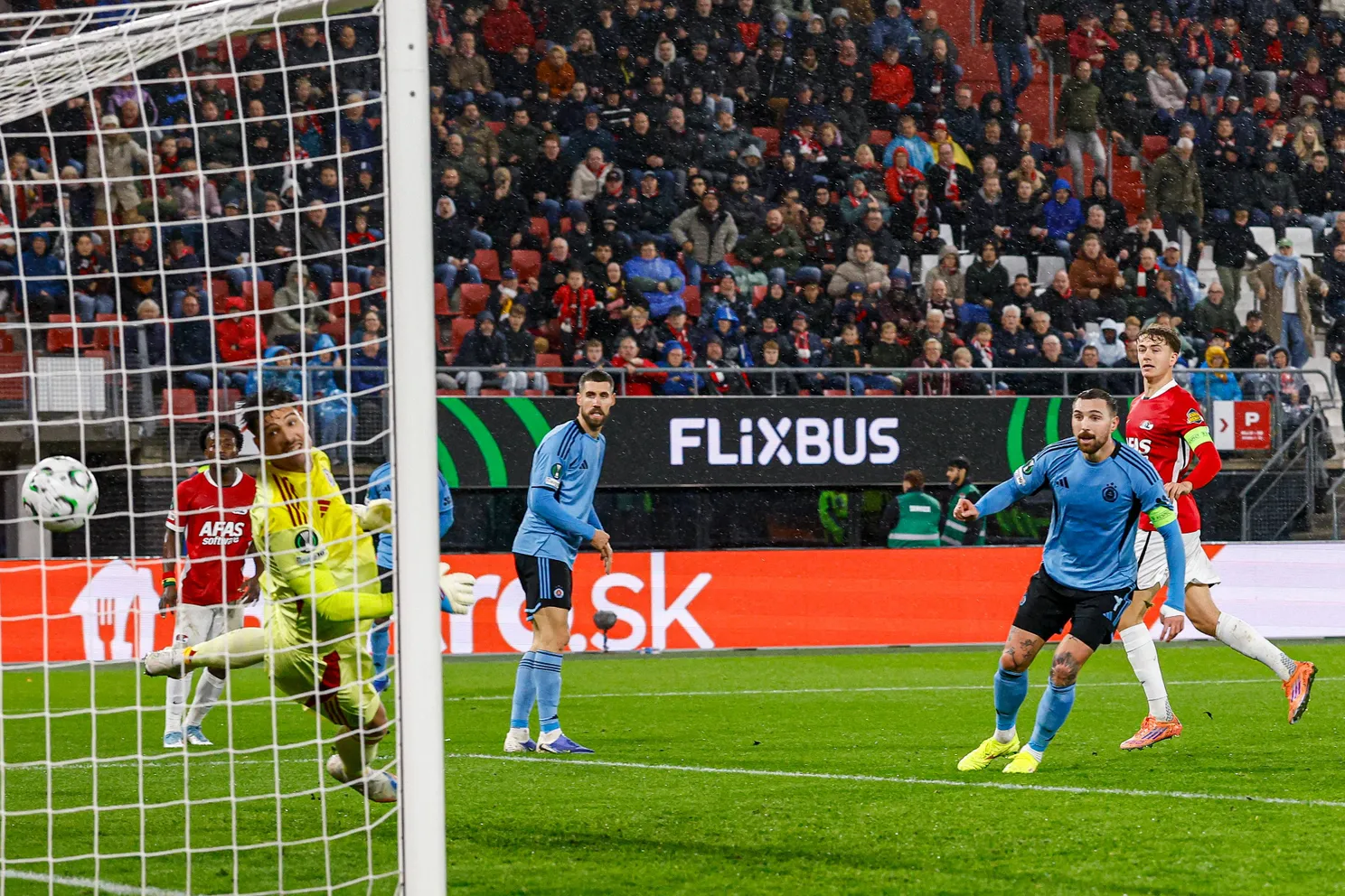 Copyright-ProShots-31654365