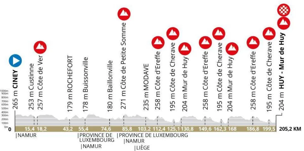 Voorbeschouwing Waalse Pijl 2025 | Evenepoel kan en wil karakter van Huy-race veranderen, maar werken Pogacar, Nys en Skjelmose mee?