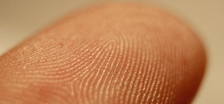 Xiaomi comes with fingerprint scanner everywhere in the screen