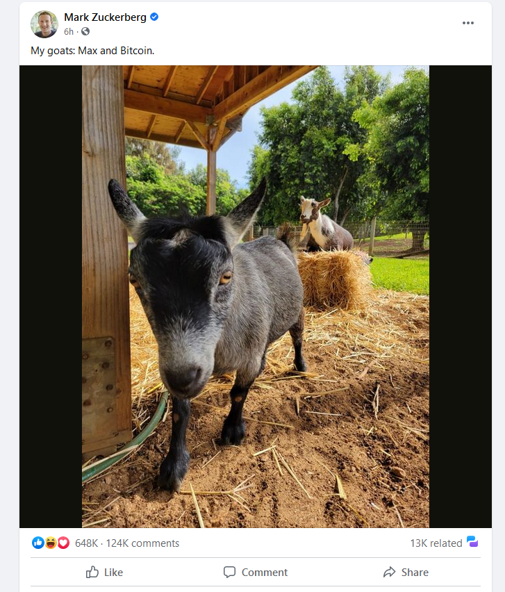 Mark Zuckerberg noemt zijn geiten 'Max' en 'Bitcoin', is hij een bitcoiner?