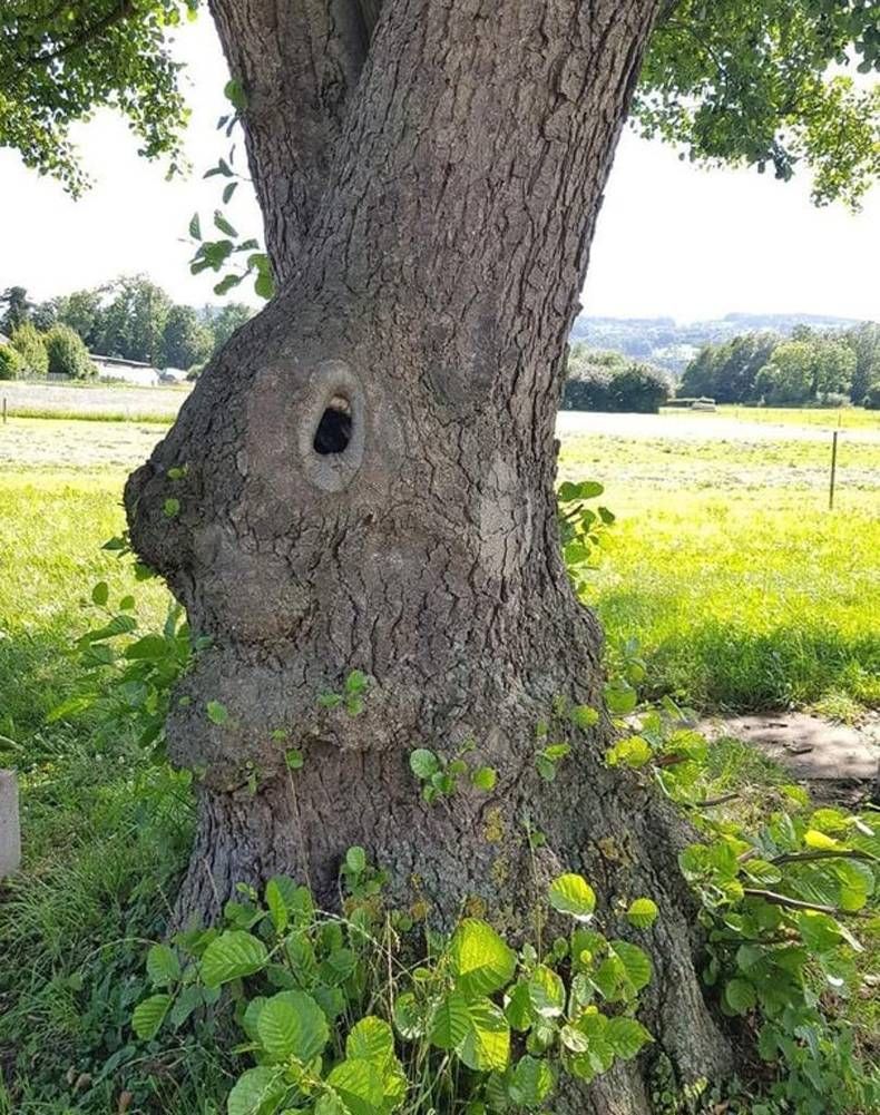 Gewoon een verzameling hilarische foto's #1424