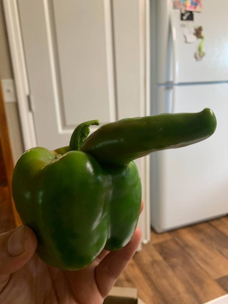 Gewoon een verzameling hilarische foto’s #1465