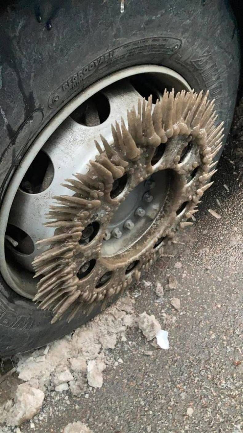 Gewoon een verzameling hilarische foto's #1401