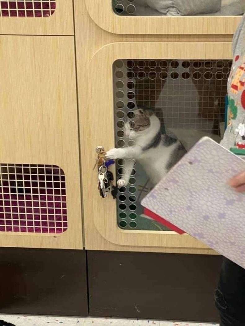 Gewoon een verzameling hilarische foto's #1424
